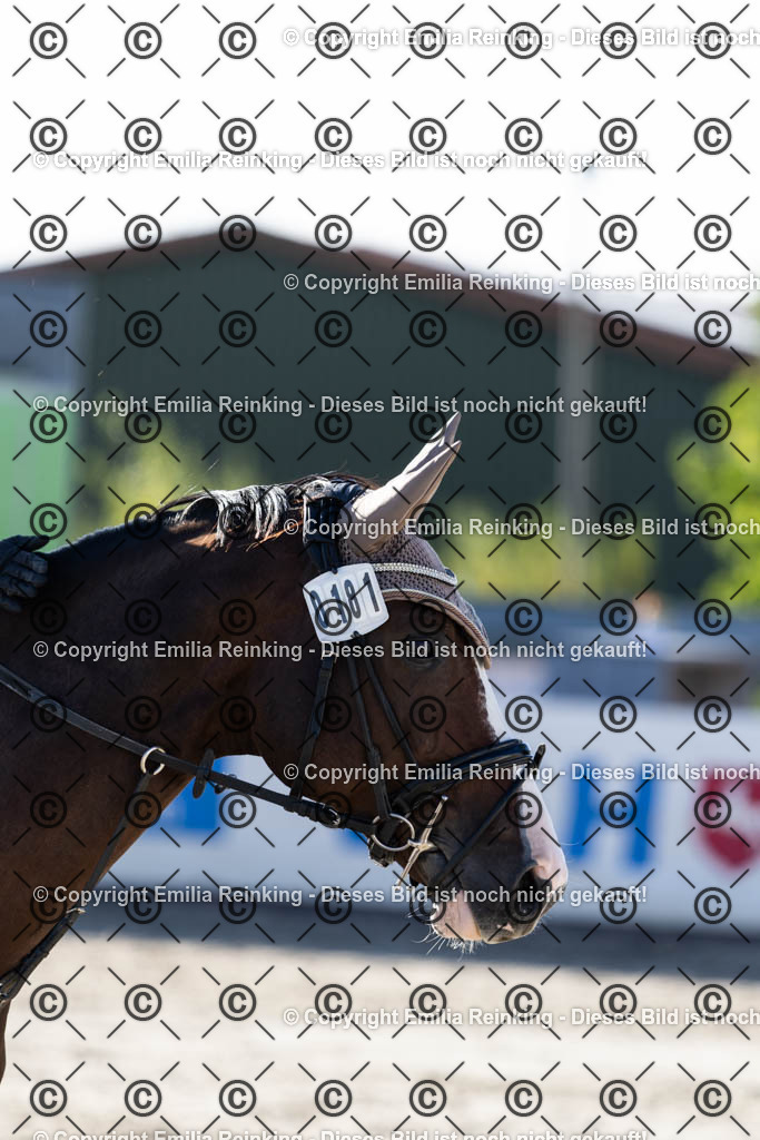 CL5A1150 | Emilia Reinking Fotografie - Realisiert mit Pictrs.com