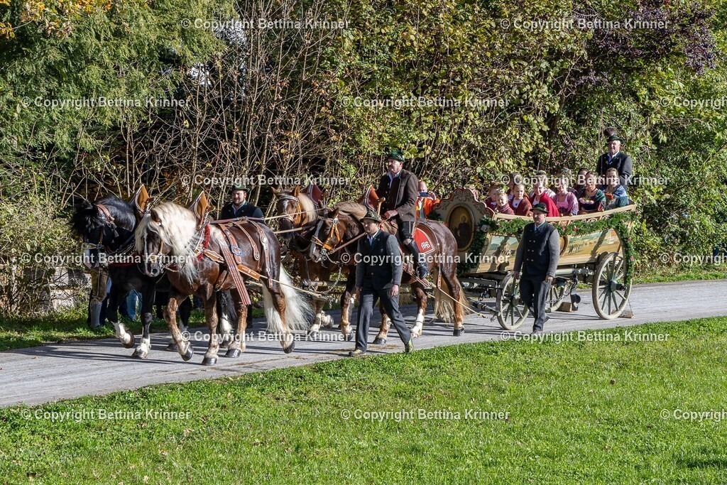 LBT24-668 | foto-bettina-krinner - Realisiert mit Pictrs.com