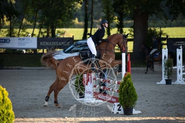 2B4A0036 | pixelfaenger - Realisiert mit Pictrs.com