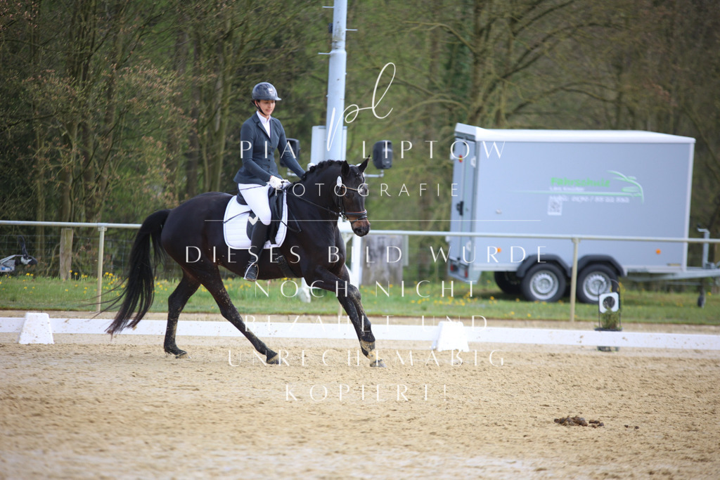 IMGT6389 | pl-fotografie