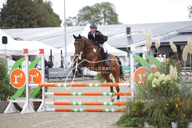 1J2A9414Lisa-Marie Bornhöft_ Coda C_ Kn252_ Havekost | Foto- und Videografie für alles rund ums Pferd. Hochwertige Bilder und Videos vom Spring- und Dressurreiten, Voltigieren & mehr. Jetzt aktuelle Veranstaltungen und Preise im Shop ansehen. - Realisiert mit Pictrs.com