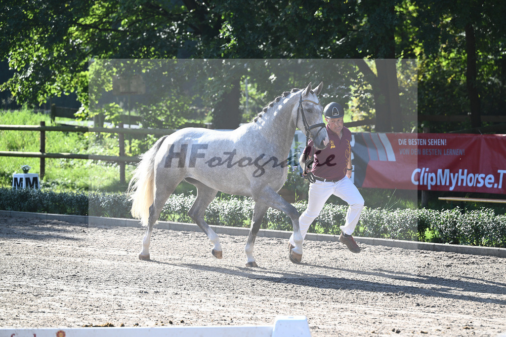 Kat-Nr. 6 La Traviata_Schindele_36230629 | hf-fotografie - Realisiert mit Pictrs.com