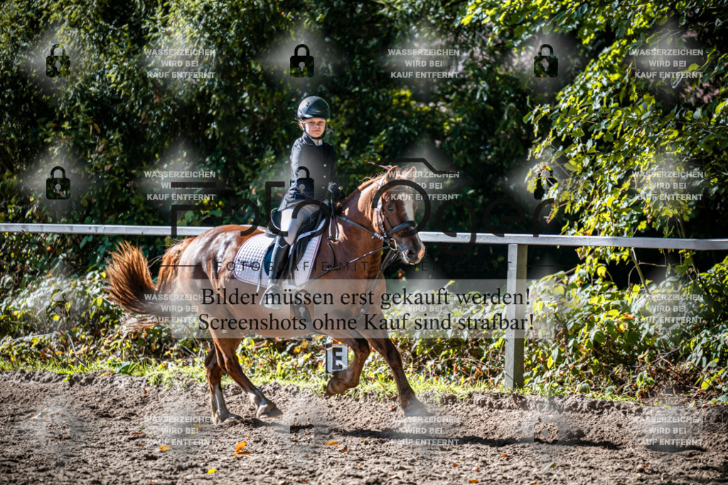 2026-10-Helle-20-4-0022 | Entdecke hochwertige Reitturnierfotos von Foto Oger. Professionell, emotional und authentisch – jetzt Lieblingsmomente im Shop bestellen.Deutschlandweite Turnierfotografie. - Realisiert mit Pictrs.com