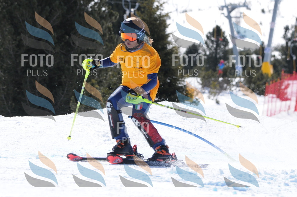 C9328 | holidayphoto