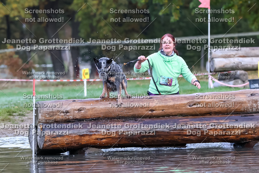 Dog Paparazzi - Strongdog 10-25-6371 | Dog Paparazzi Jeanette Grottendiek Fotografie & Videografie - Realisiert mit Pictrs.com