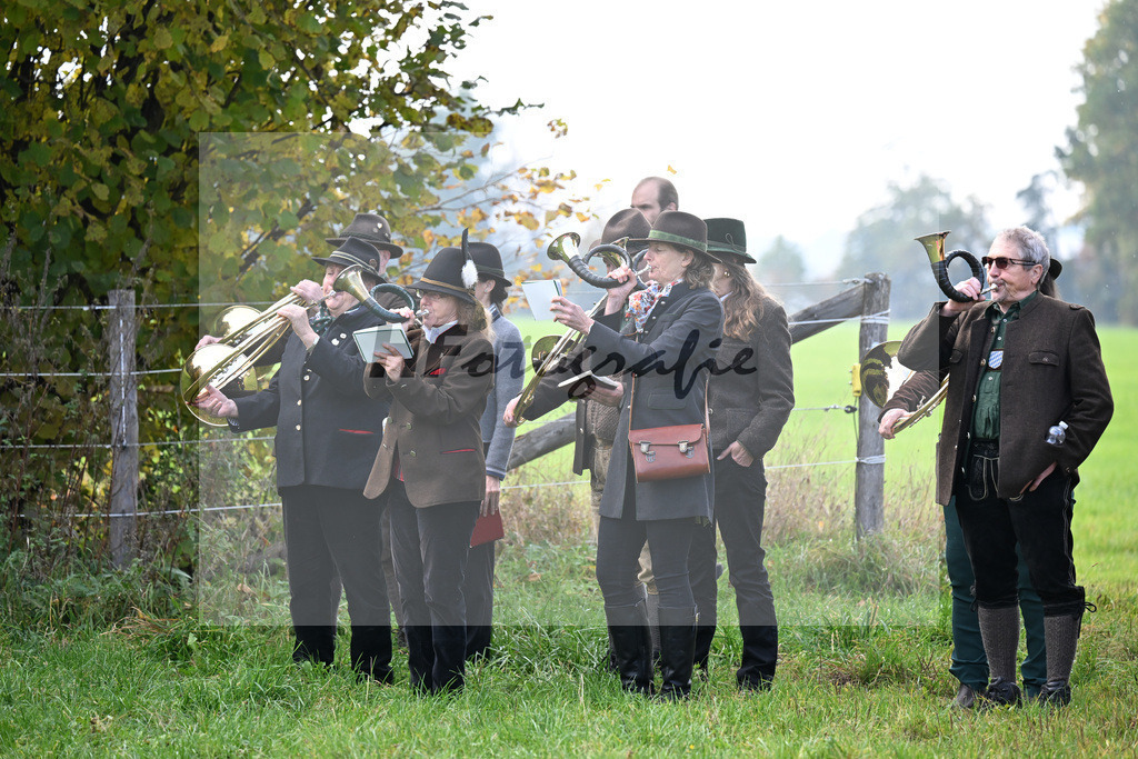 40250833 | hf-fotografie - Realizzato con Pictrs.com