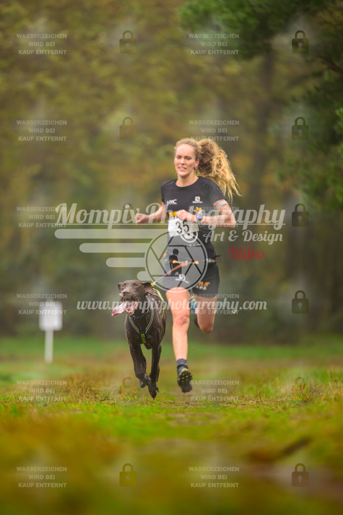 MompixPhotography_Bischwiller2025_Canicross-10 | mompixphotography