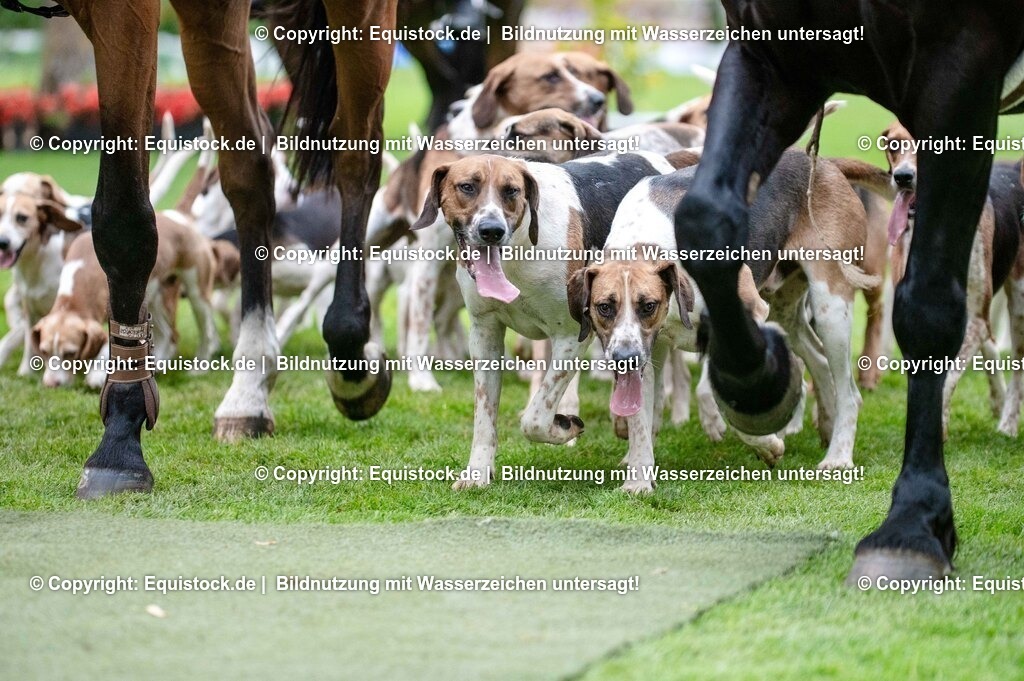 20250606_Lange-Pferdenacht_0542 | Foto: Thomas Hartig