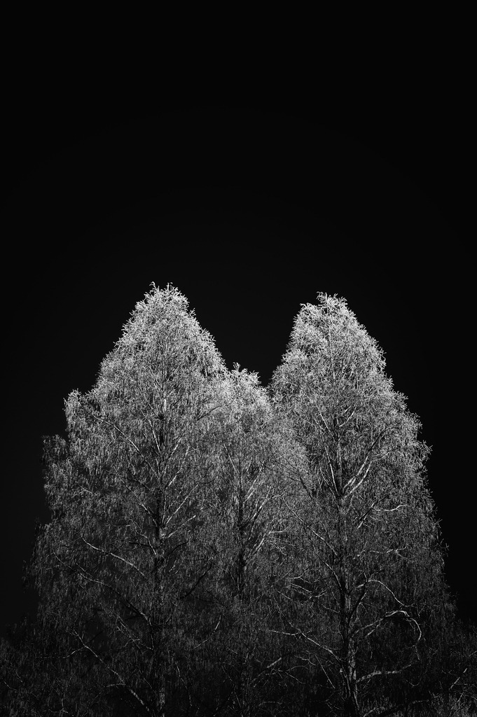 2025_01_19_HH-OEVELGOENNE_MCP4733 sw | Hochwertig gedruckte Fotografien für die Wand, als Kalender und zum Verschenken. Hamburg & Norddeutschland und überall wo ich mit der Kamera unterwegs war.