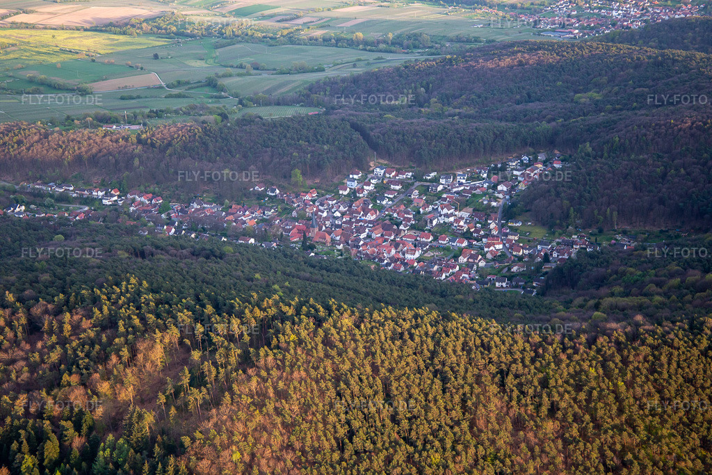 Luftbild: Ortsansicht von Nordwesten in Dörrenbach im Bundesland Rheinland-Pfalz in Deutschland. Foto: IMG_140236.jpg vom 11.04.2024 durch Werner Riehm/FLY-FOTO.de