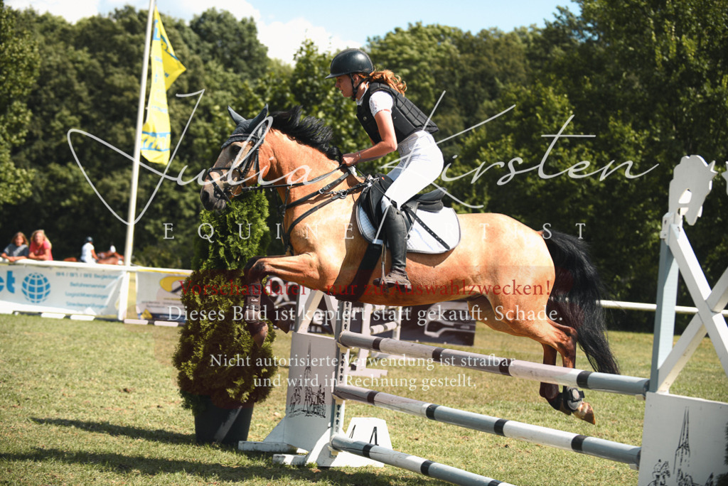 DSC_6788 | Pferde- und Turnierfotografie in Westsachsen. Pferdeportraits, Auftragszeichnungen und intuitive Kunst.