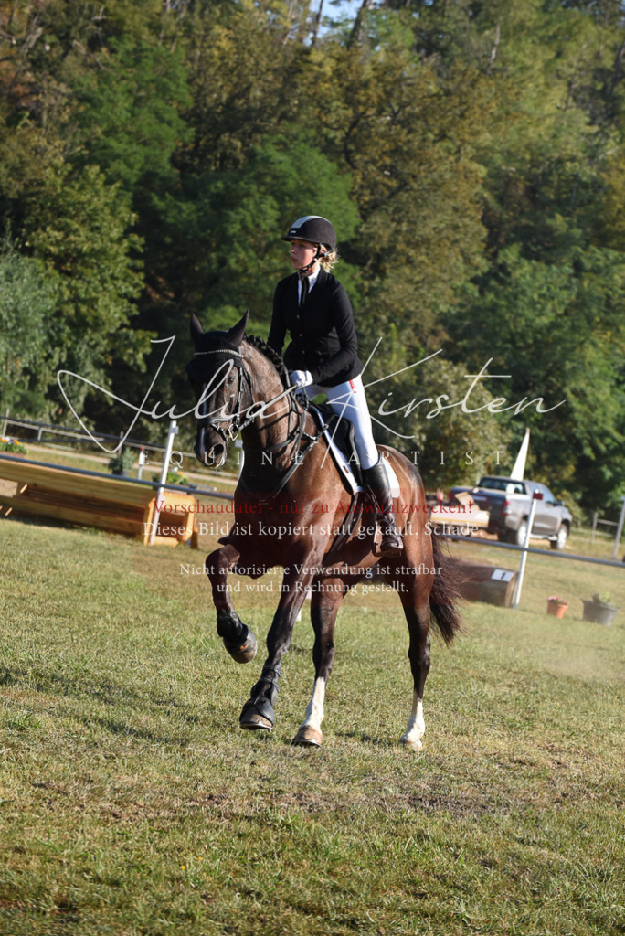 DSC_5034 | Pferde- und Turnierfotografie in Westsachsen. Pferdeportraits, Auftragszeichnungen und intuitive Kunst.