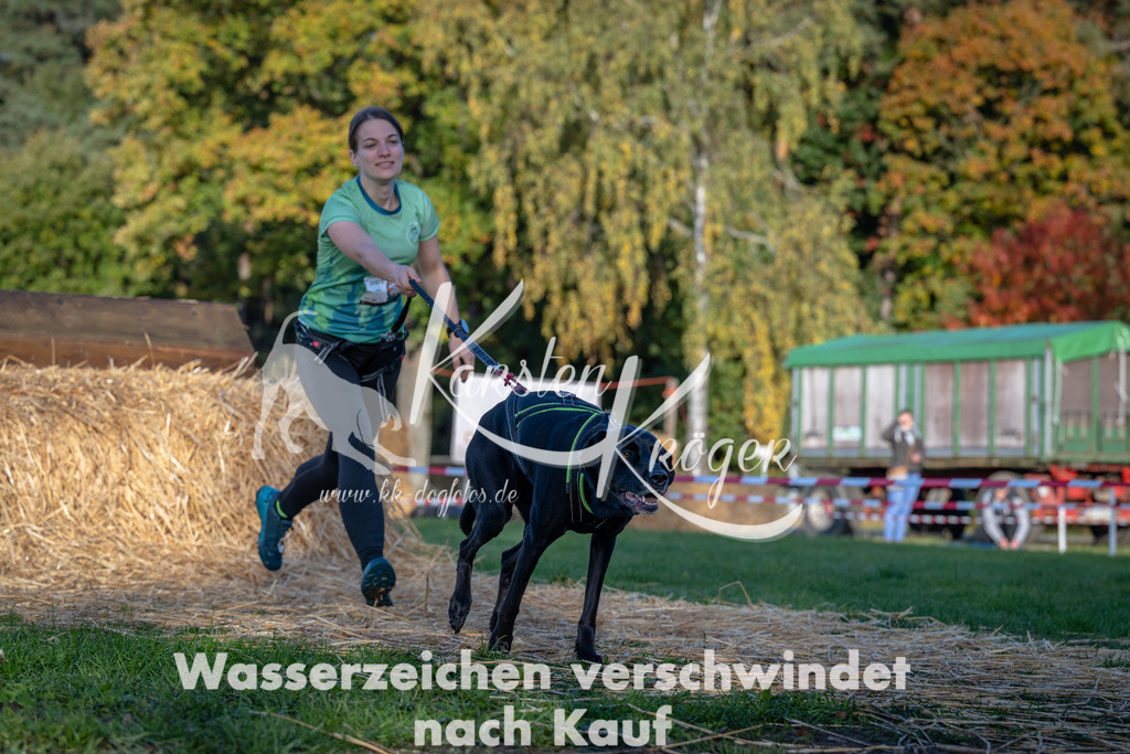 0927_ZZ90569 | kk-dogfotos