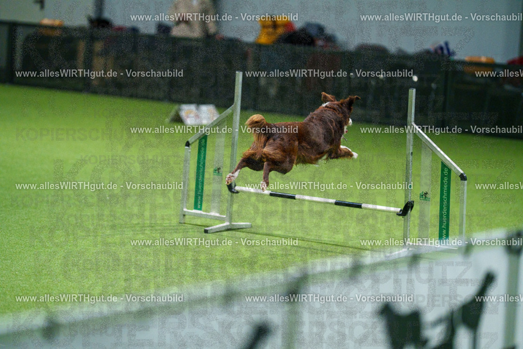 7R504935 | Professionelle Tierfotografie in Mönchengladbach von Daniel Wirth (allesWIRTHgut). Liebevolle & natürliche Bilder von Hunden & Katzen für unvergessliche Erinnerungen.