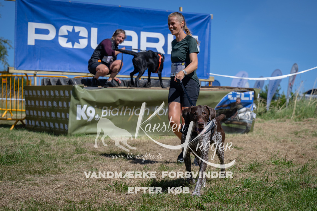 1253_ZZ97221 | kk-dogfotos