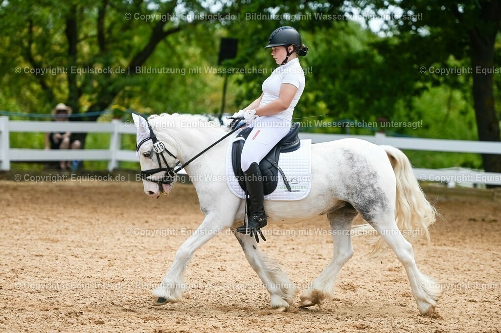 20230715_05_Dressurprüfung Kl.A++_0267 | equistock