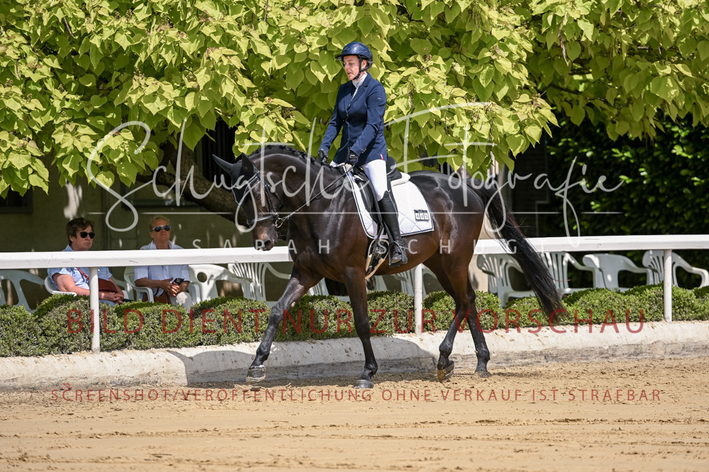 Schugtsche-Aluta25-48.Reitpferfdeprf.-188 | Schugtsche Fotografie - Realisiert mit Pictrs.com