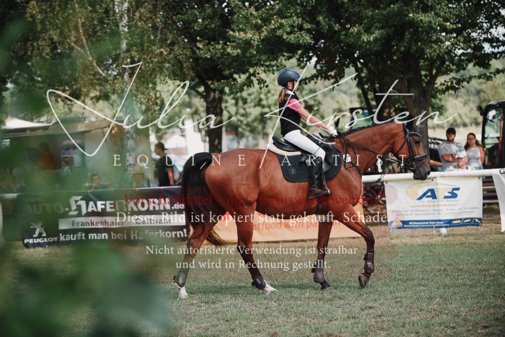 DSC_5588 | Pferde- und Turnierfotografie in Westsachsen. Pferdeportraits, Auftragszeichnungen und intuitive Kunst.