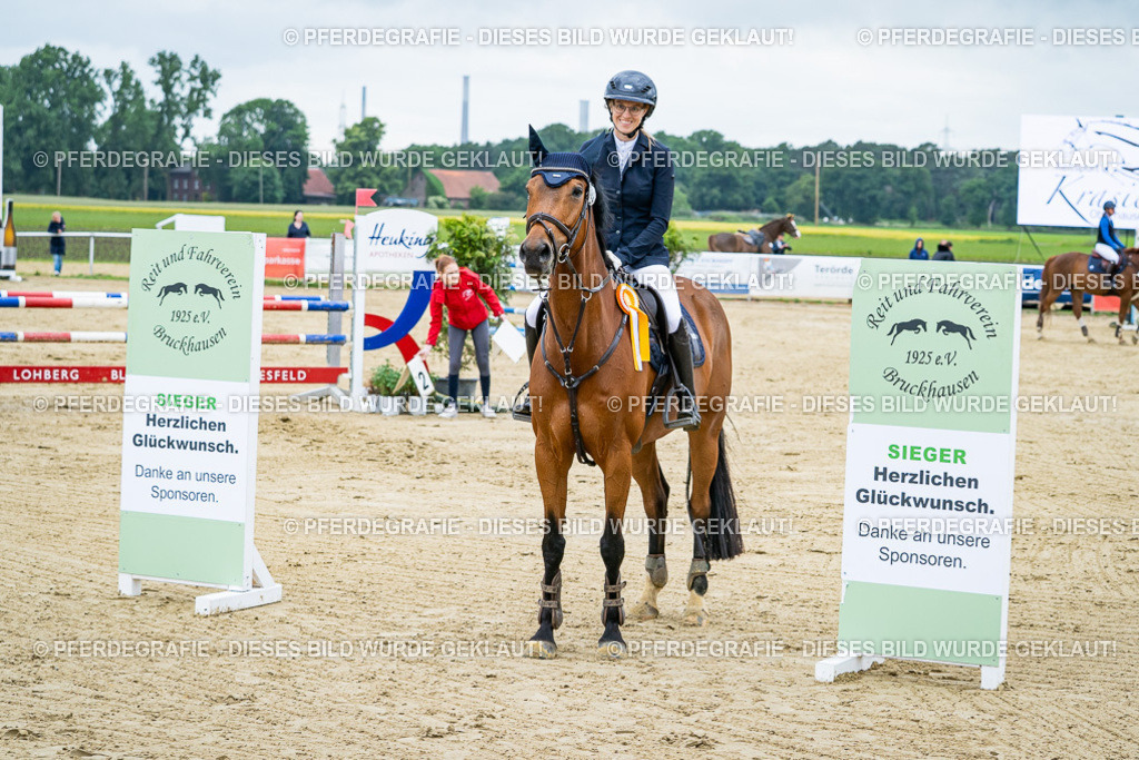 DSC03847 | Pferdegrafie