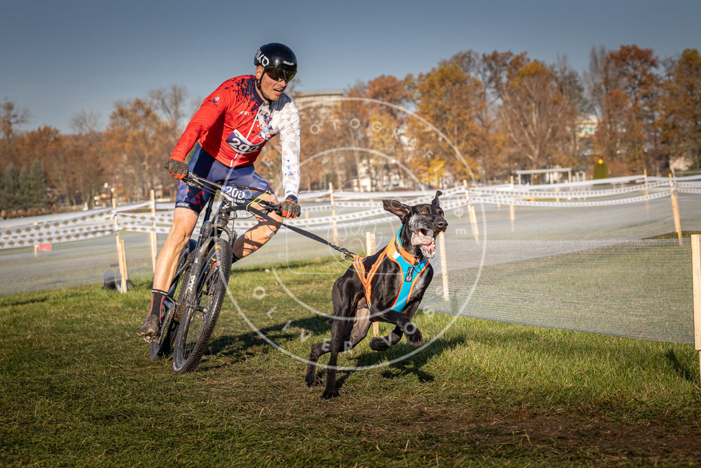 CaniXpix_0L8A4442 | Hundefotografie, Tierfotograf, Pfotenfotografie, Fotoshooting Hund, Hunde Portrait, Hundesport, Hundeportraits, Heideshooting, Hunde, Sportfotograf, Hundefotograf, Turnierhundsport, THS,  - Realisiert mit Pictrs.com
