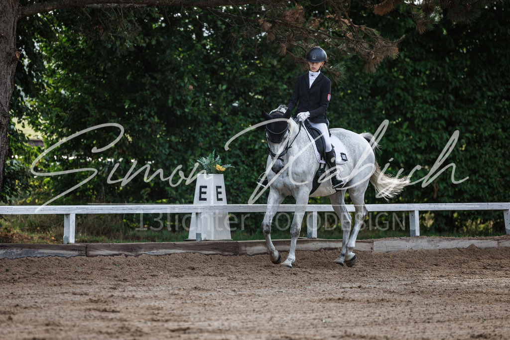 20260905-_3LI6875 | Tierfotografie Pferde, Hunde, Katzen, Haustiere.
Turnierfotografie Reitturniere, Reiten, Springreiten, Dressur in Hanau, dem Main-Kinzig-Kreis und dem Rhein-Main- Gebiet um Frankfurt