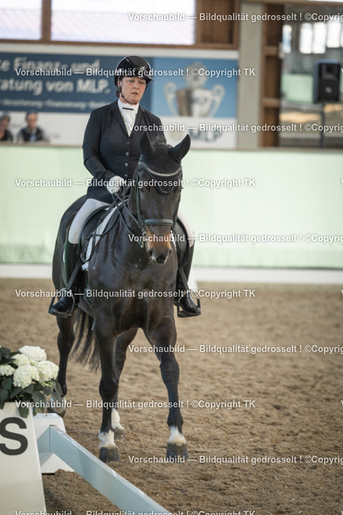 _D5A3222 | Emotionale Pferde- & People-Fotografie rund um Heidelberg, Leimen & Umgebung. Natürliche Fotos von Pferd, Mensch & Familie. Jetzt Termin sichern!