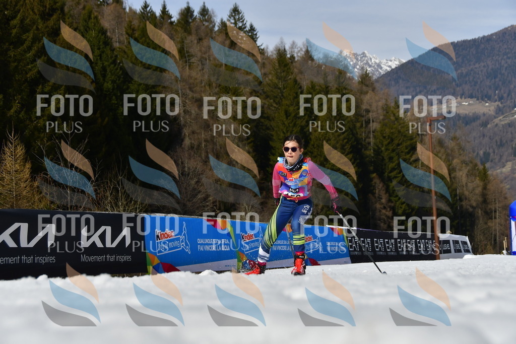 _DSC0264 | holidayphoto