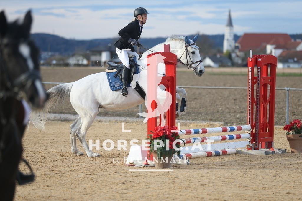 AS8V3071 | Willkommen bei Brunnmayr - Design & Fotografie – Ihrem Spezialisten für Reitturniere und Pferdeveranstaltungen in Oberösterreich, Salzburg und Bayern! Seit über 17 Jahren sind wir leidenschaftlich dabei.