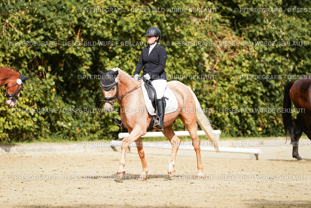 DSC02982 | Pferdegrafie