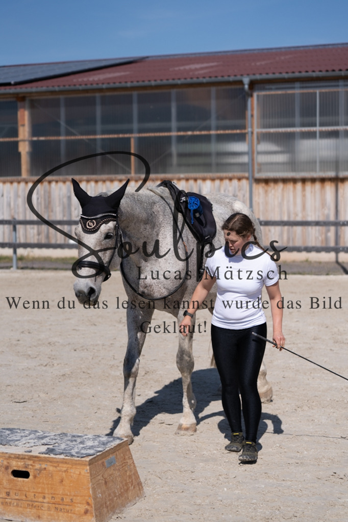 A7V01884 | Pferdefotograf