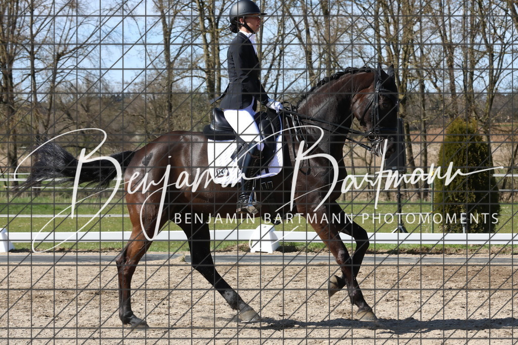 AZ2A4745 | Benjamin Bartmann Photomoments