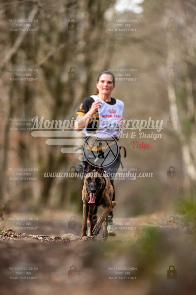 SPA_2023_SAM_CCK-260 | PayLife