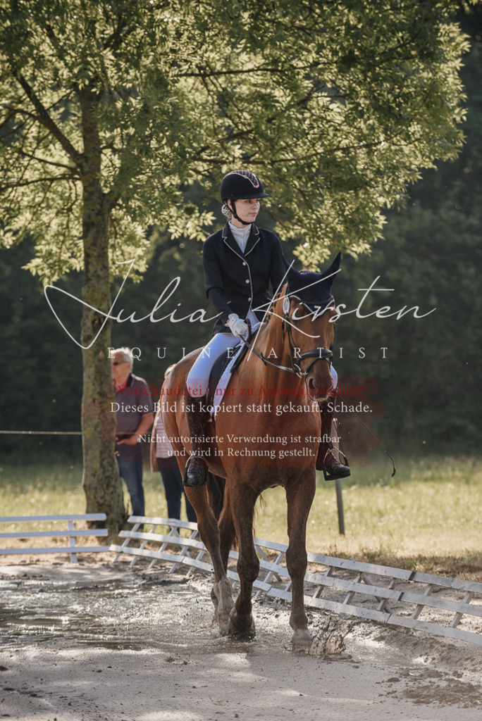 DSC_7674 | Pferde- und Turnierfotografie in Westsachsen. Pferdeportraits, Auftragszeichnungen und intuitive Kunst.