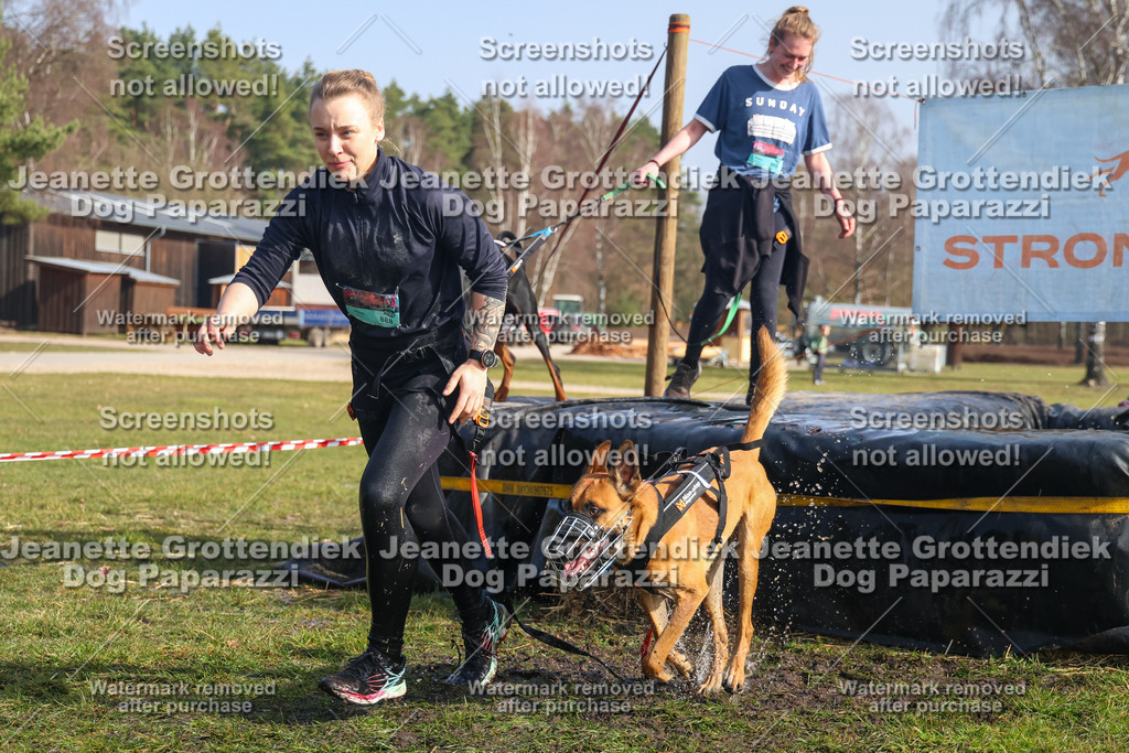 Dog Paparazzi - Strongdog North Mrz26-1842 | Dog Paparazzi Jeanette Grottendiek Fotografie & Videografie - Realisiert mit Pictrs.com