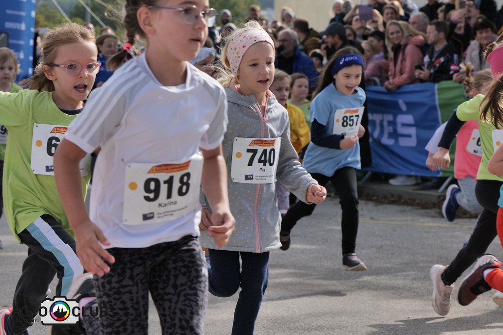 P1039029 | Foto Buchgraber