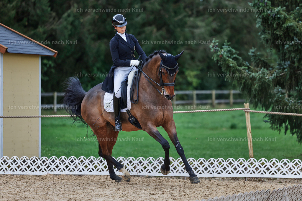 12-186-DRESSUR  S___  -StoibPH-5384 | working equitationturnier fotograf videograf stoibphotography marixx film working equitation deutschland reitsport turnierfotografie eventfotografie equestrian events