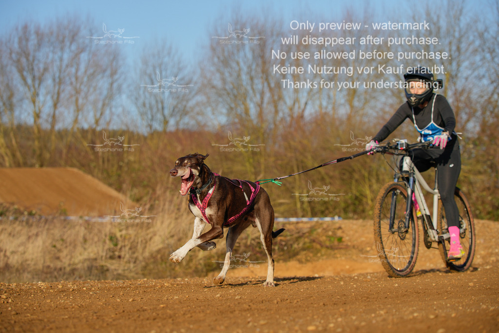 So_DVGBSP2025_Bike (322 von 358) | stephaniefillaphotographie - Realisiert mit Pictrs.com