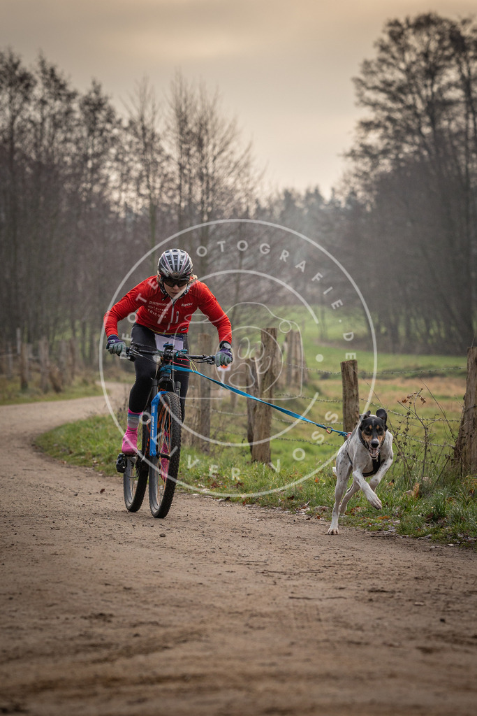Pfotenfotografie_DV3A1470 | Hundefotografie, Tierfotograf, Pfotenfotografie, Fotoshooting Hund, Hunde Portrait, Hundesport, Hundeportraits, Heideshooting, Hunde, Sportfotograf, Hundefotograf, Turnierhundsport, THS,  - Realisiert mit Pictrs.com
