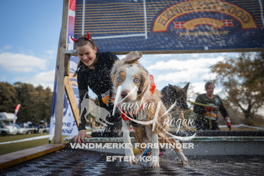 1308_ZZ99378-2 | kk-dogfotos