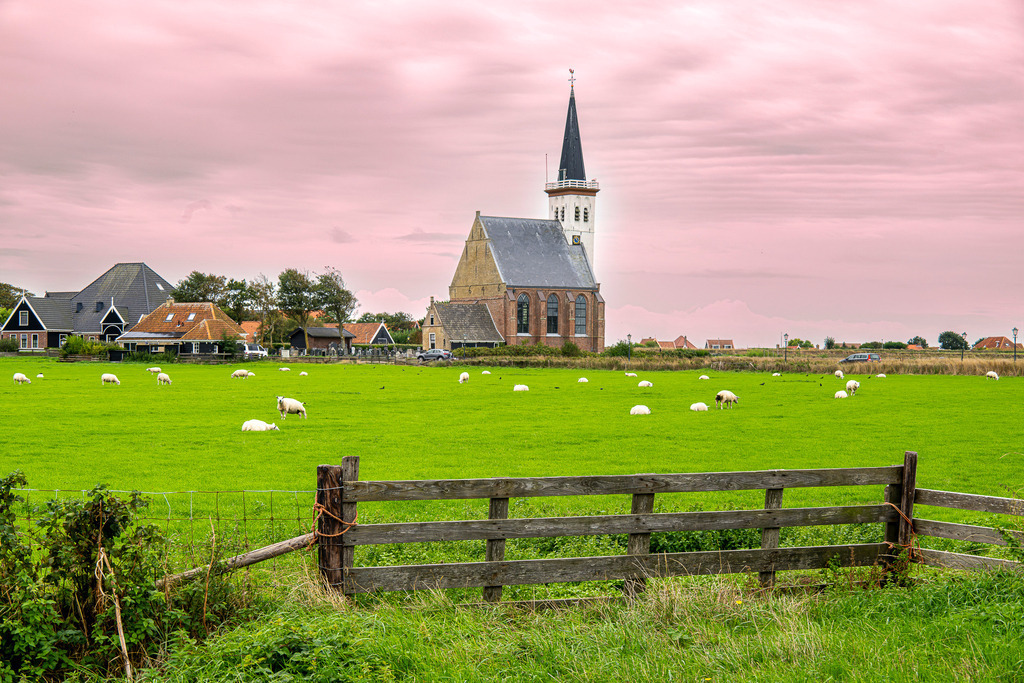 Moorlandskerk in Den Hoorn: Historische Dorfkirche hinter Schafweide auf Texel | Die charakteristische Moorlandskerk mit ihrem spitzen Kirchturm prägt die idyllische Dorfszenerie von Den Hoorn im Süden der Nordseeinsel Texel. Im Vordergrund grast eine Schafherde auf saftig grünen Wiesen hinter einem traditionellen Holzzaun, während der Abendhimmel in sanften Rosatönen leuchtet. Das Motiv verbindet sakrale Architektur mit ländlicher Kulturlandschaft und eignet sich ideal für Themen wie Inseltourismus, Landwirtschaft, Architektur und Reisekultur in den Niederlande - Realisiert mit Pictrs.com