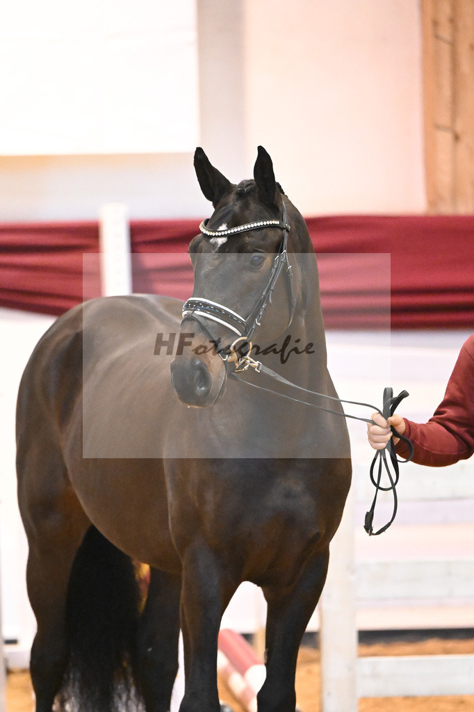 Kat-Nr. 50 v. Tobago Z_Gisler_66221222 | hf-fotografie - Realisiert mit Pictrs.com