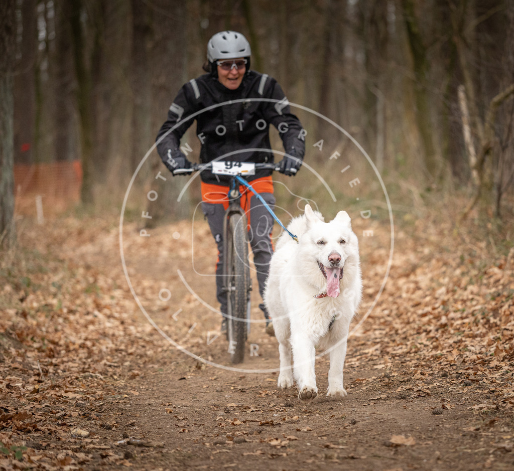 Pfotenfotografie_DV3A7243 | Hundefotografie, Tierfotograf, Pfotenfotografie, Fotoshooting Hund, Hunde Portrait, Hundesport, Hundeportraits, Heideshooting, Hunde, Sportfotograf, Hundefotograf, Turnierhundsport, THS,  - Realisiert mit Pictrs.com