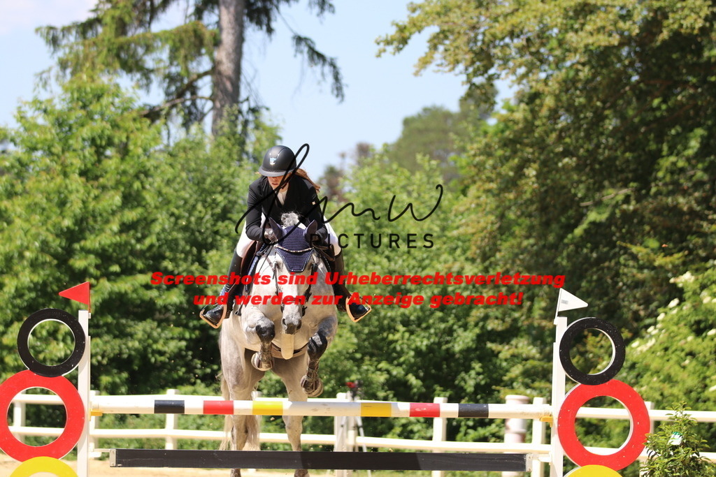 IMG_2391 | lmwpictures - Realisiert mit Pictrs.com