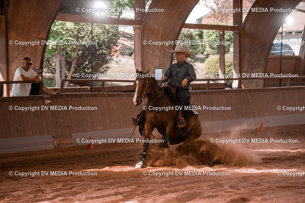 NE201045 | dv-media-shop - Realisiert mit Pictrs.com