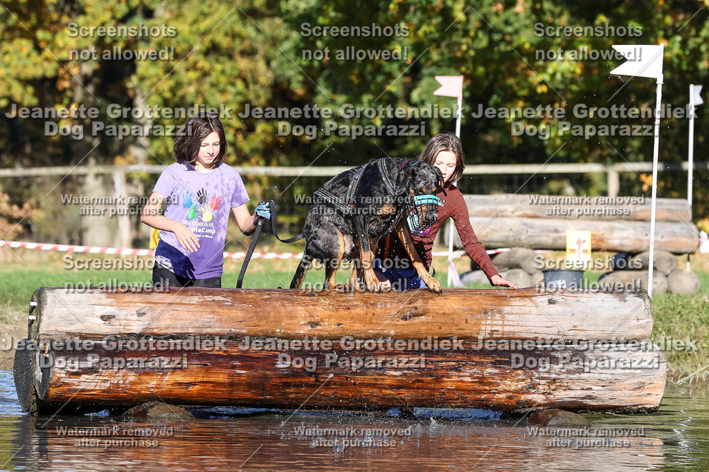 Dog Paparazzi - Strongdog 10-25-8925 | Dog Paparazzi Jeanette Grottendiek Fotografie & Videografie - Realisiert mit Pictrs.com