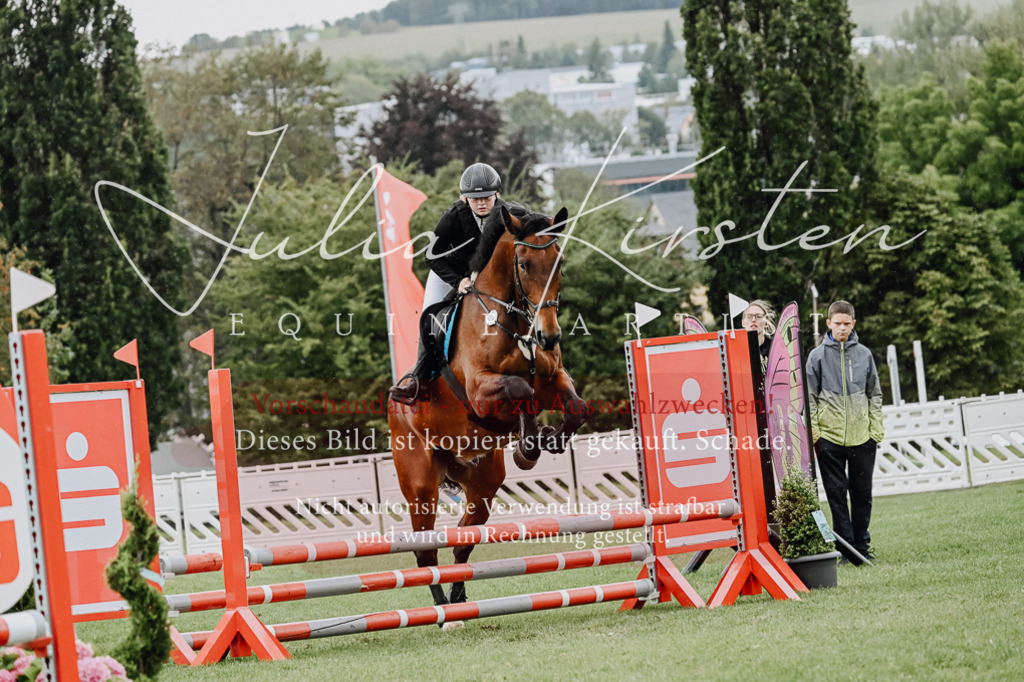 DSC_6866 | Pferde- und Turnierfotografie in Westsachsen. Pferdeportraits, Auftragszeichnungen und intuitive Kunst.