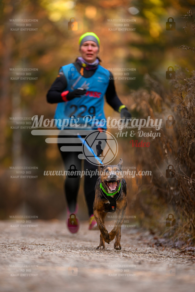 MompixPhotography_DM_AKDM_SO_2025_-77 | PayLife