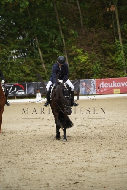 VAN01487 | Marie Giesen Fotografie - Realisiert mit Pictrs.com