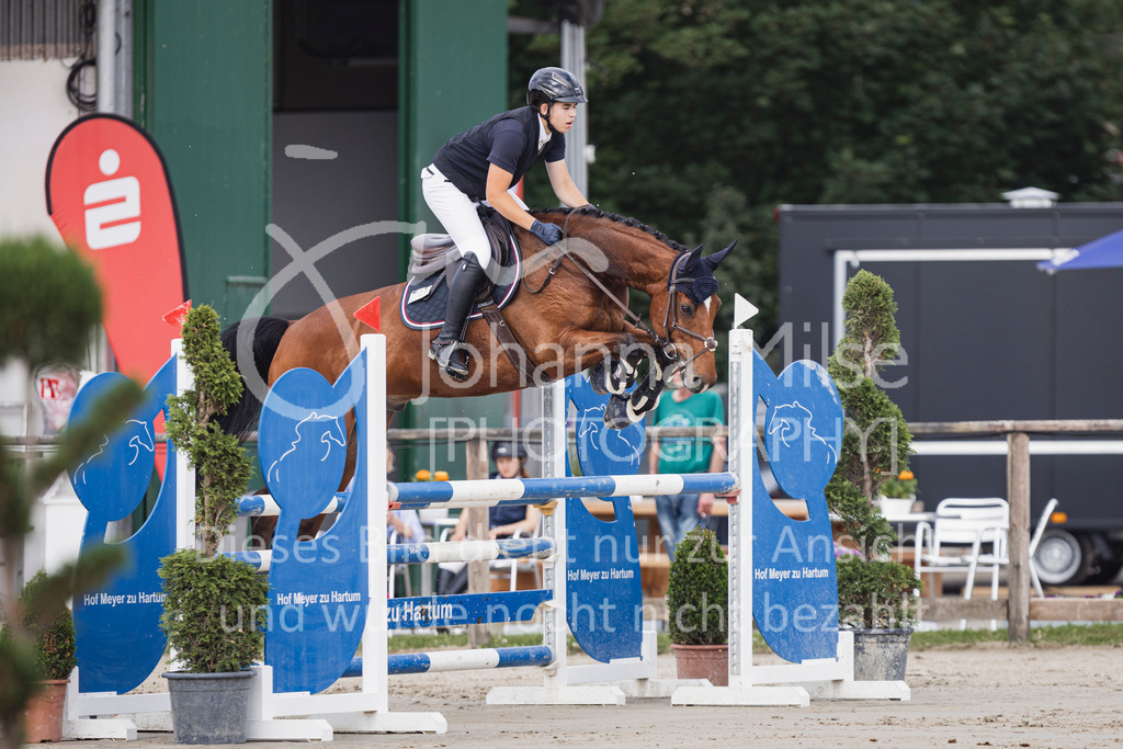 250629_PfSpTa_Stil-L2-305 | Deine schönsten Turniermomente als professionelle Fotos! Entdecke hochwertige Pferdesport-Fotografie im Online-Shop. Jetzt Fotos finden & bestellen!