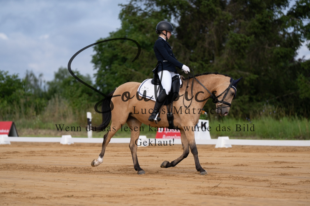 A7V05087 | Pferdefotograf